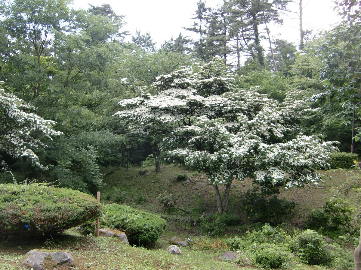 Hale Makawao Bed & Breakfast Daisen  ภายนอก รูปภาพ